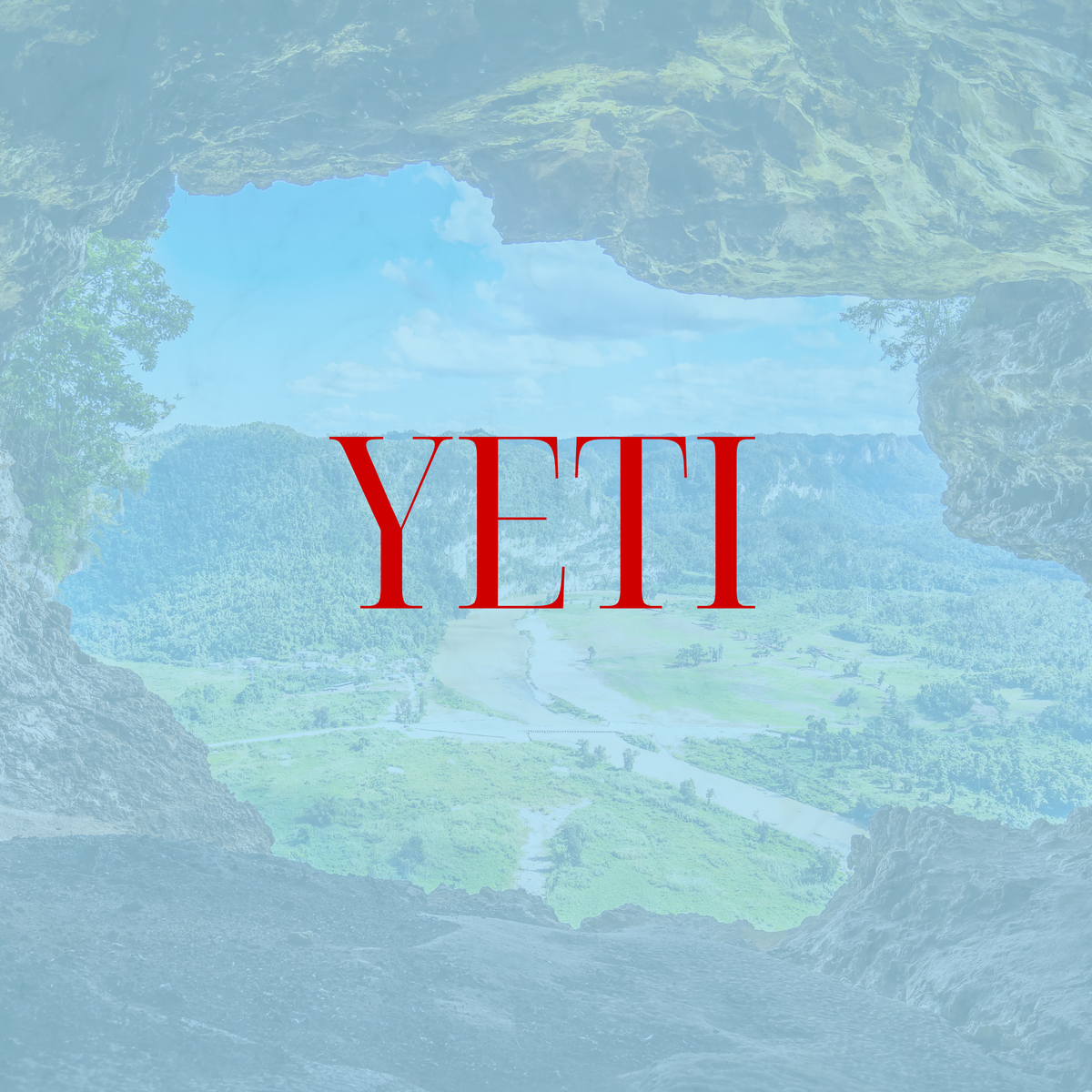 Yeti
