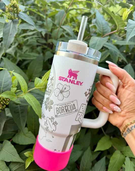Frosty💕 Stanley 30oz Tumbler